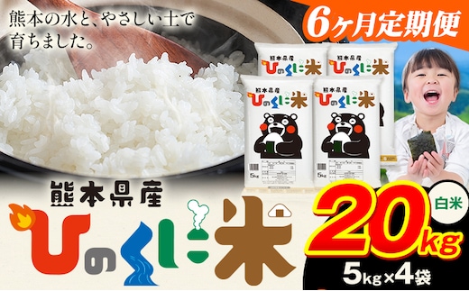 【6ヶ月定期便】 白米 ひのくに米 20kg 《お申込み翌月から出荷》 食品 米 こめ コメ 熊本県産 ふるさと納税 お米 おこめ 熊本---ubuyama_lcl_633_mo6---