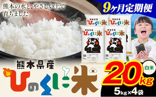 【9ヶ月定期便】 白米 ひのくに米 20kg 《申込月の翌月から出荷開始》 食品 米 こめ コメ 熊本県産 ふるさと納税 お米 おこめ 熊本---ubuyama_lcl_641_mo9---