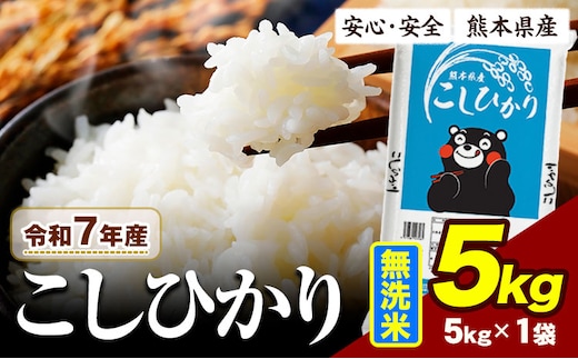 令和7年産 こしひかり 5kg 《7-14日以内に出荷予定》 熊本県産 ふるさと納税 無洗米 ひの 米 こめ ふるさとのうぜい コシヒカリ コメ お米 おこめ---ubuyama_lcl_981_5kg---