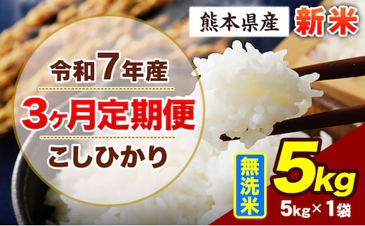 【3ヶ月定期便】令和7年産 定期便 こしひかり 新米 5kg 無洗米 阿蘇 うぶやま 米 定期便 熊本県産 ふるさと納税 精米 ひの 米 こめ ふるさとのうぜい コシヒカリ コメ お米 おこめ《お申込み翌月から出荷》---ubuyama_lcl_698_mo3---