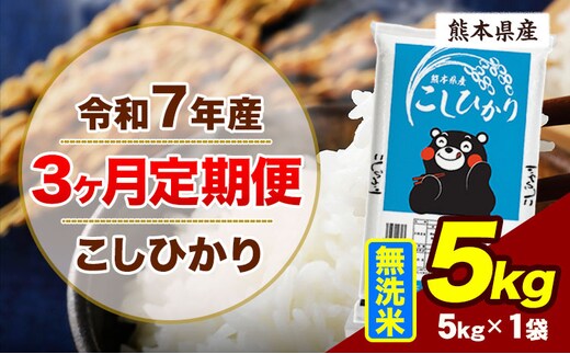【3ヶ月定期便】令和7年産 定期便 こしひかり 5kg 無洗米 阿蘇 うぶやま 米 定期便 熊本県産 ふるさと納税 精米 ひの 米 こめ ふるさとのうぜい コシヒカリ コメ お米 おこめ《お申込み翌月から出荷》---ubuyama_lcl_1086_mo3---