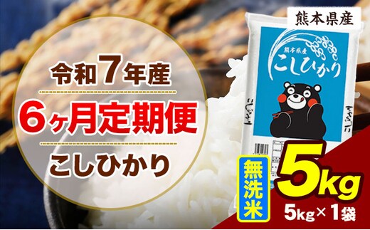 【6ヶ月定期便】令和7年産 定期便 こしひかり 5kg 無洗米 阿蘇 うぶやま 米 定期便 熊本県産 ふるさと納税 精米 ひの 米 こめ ふるさとのうぜい コシヒカリ コメ お米 おこめ《お申込み翌月から出荷》---ubuyama_lcl_1092_mo6---