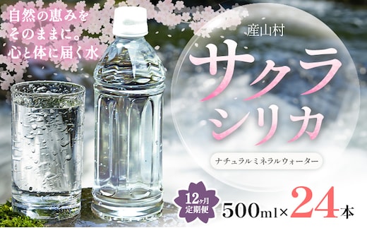 【12ヶ月定期便】サクラシリカ 500ml × 24本 みずの里《お申込み月の翌月から出荷開始》熊本県 阿蘇郡 産山村 ミネラルウォーター シリカ 水 天然水 鉱水 ラベルレス ラベルなし---ubuyama_mzs_14_24p_mo12---