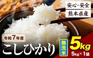 令和7年産 こしひかり  5kg 《7-14日以内に出荷予定》 熊本県産 ふるさと納税  無洗米 ひの 米 こめ ふるさとのうぜい コシヒカリ コメ お米 おこめ---ubuyama_lcl_773_5kg---