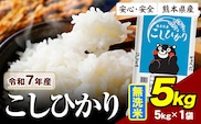 令和7年産 こしひかり  5kg 《7-14日以内に出荷予定》 熊本県産 ふるさと納税  無洗米 ひの 米 こめ ふるさとのうぜい コシヒカリ コメ お米 おこめ---ubuyama_lcl_1172_5kg---
