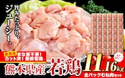 鶏肉 小分け 鶏肉 むね  ムネ カット済 若鶏11.16kg《7-14日以内に出荷予定(土日祝除く)》---ubuyama_lcl_516_11160g---