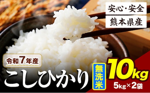 令和7年産 こしひかり 10kg 《7-14日以内に出荷予定》令和7年産 熊本県産 ふるさと納税 無洗米 ひの 米 こめ ふるさとのうぜい コシヒカリ コメ お米 おこめ---ubuyama_lcl_675_10kg---