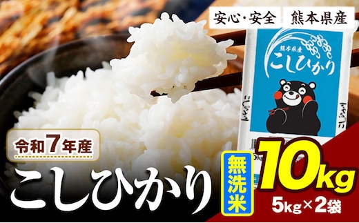 令和7年産 こしひかり 10kg 《7-14日以内に出荷予定》令和7年産 熊本県産 ふるさと納税 無洗米 ひの 米 こめ ふるさとのうぜい コシヒカリ コメ お米 おこめ---ubuyama_lcl_983_10kg---