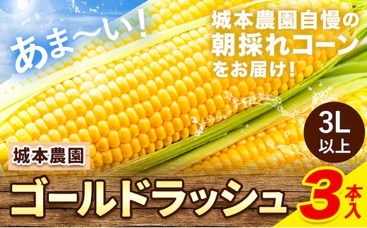 《先行受付開始》とうもろこし 産地直送 朝採れ スイートコーン ゴールドラッシュ 3本セット とうもろこし スイートコーン とうもろこし スイートコーン 城本農園《2026年7月中旬-8月中旬頃出荷》---ubuyama_jmn_5_3p---