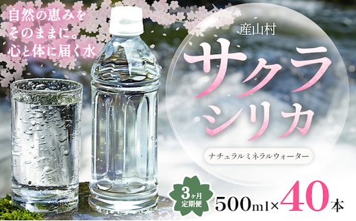 【3ヶ月定期便】サクラシリカ 500ml × 40本 みずの里《お申込み月の翌月から出荷開始》熊本県 阿蘇郡 産山村 ミネラルウォーター シリカ 水 天然水 鉱水 ラベルレス ラベルなし---ubuyama_mzs_10_40p_mo3---