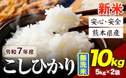 令和7年産 こしひかり 新米 10kg 《7-14日以内に出荷予定》令和7年産 熊本県産 ふるさと納税 新米 無洗米 ひの 米 こめ ふるさとのうぜい コシヒカリ コメ お米 おこめ---ubuyama_lcl_675_10kg---
