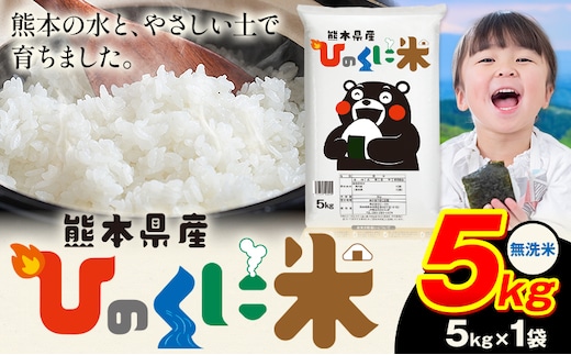 無洗米 ひのくに米 5kg 《7-14日以内に出荷予定》 食品 米 こめ コメ 熊本県産 ふるさと納税 お米 おこめ 熊本---ubuyama_lcl_757_5kg---