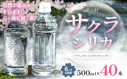 【6ヶ月定期便】サクラシリカ 500ml × 40本 みずの里《お申込み月の翌月から出荷開始》熊本県 阿蘇郡 産山村 ミネラルウォーター シリカ 水 天然水 鉱水 ラベルレス ラベルなし---ubuyama_mzs_11_40p_mo6---