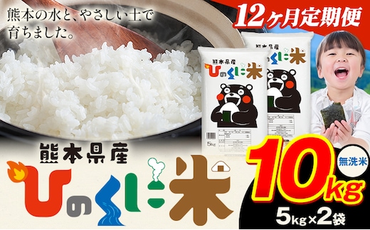 【12ヶ月定期便】 無洗米 ひのくに米 10kg 《お申込み翌月から出荷》 食品 米 こめ コメ 熊本県産 ふるさと納税 お米 おこめ 熊本---ubuyama_lcl_651_mo12---