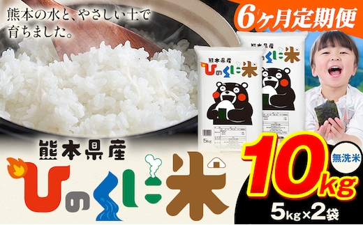 【6ヶ月定期便】 無洗米 ひのくに米 10kg 《お申込み翌月から出荷》 食品 米 こめ コメ 熊本県産 ふるさと納税 お米 おこめ 熊本---ubuyama_lcl_635_mo6---