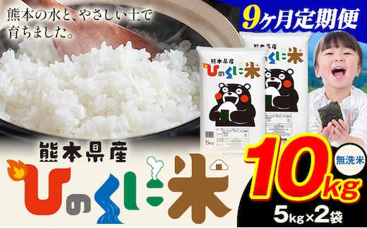 【9ヶ月定期便】 無洗米 ひのくに米 10kg 《申込月の翌月から出荷開始》 食品 米 こめ コメ 熊本県産 ふるさと納税 お米 おこめ 熊本---ubuyama_lcl_643_mo9---