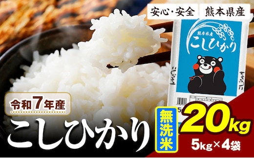 令和7年産 こしひかり 20kg 《7-14日以内に出荷予定》令和7年産 熊本県産 ふるさと納税 無洗米 ひの 米 こめ ふるさとのうぜい コシヒカリ コメ お米 おこめ---ubuyama_lcl_985_20kg---