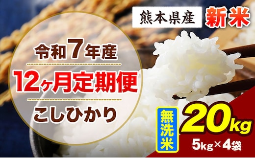 【12ヶ月定期便】令和7年産 定期便 こしひかり 20kg 新米 無洗米 阿蘇 うぶやま 米 定期便 熊本県産 ふるさと納税 精米 ひの 米 こめ ふるさとのうぜい コシヒカリ コメ お米 おこめ《お申込み翌月から出荷》---ubuyama_lcl_725_mo12---