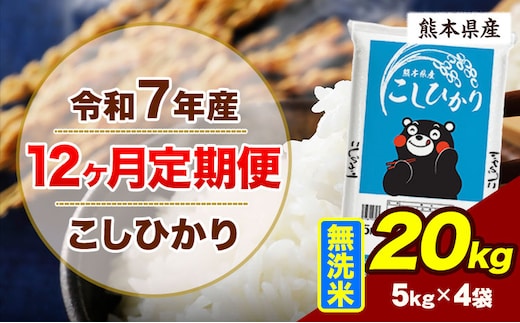 【12ヶ月定期便】令和7年産 定期便 こしひかり 20kg 無洗米 阿蘇 うぶやま 米 定期便 熊本県産 ふるさと納税 精米 ひの 米 こめ ふるさとのうぜい コシヒカリ コメ お米 おこめ《お申込み翌月から出荷》---ubuyama_lcl_991_mo12---