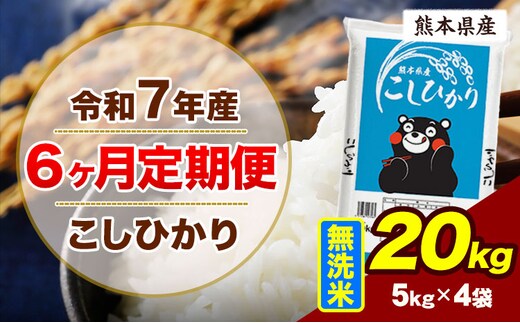 【6ヶ月定期便】令和7年産 定期便 こしひかり 20kg 無洗米 阿蘇 うぶやま 米 定期便 熊本県産 ふるさと納税 精米 ひの 米 こめ ふるさとのうぜい コシヒカリ コメ お米 おこめ《お申込み翌月から出荷》無洗米 米 定期便 無洗米 米 定期便 無洗米 米 定期便---ubuyama_lcl_1096_mo6---