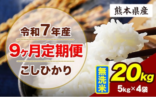 【9ヶ月定期便】令和7年産 定期便 こしひかり 20kg 無洗米 阿蘇 うぶやま 米 定期便 熊本県産 ふるさと納税 精米 ひの 米 こめ ふるさとのうぜい コシヒカリ コメ お米 おこめ《申込月の翌月から出荷開始》---ubuyama_lcl_717_mo9---