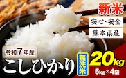 令和7年産 こしひかり 新米 20kg 《7-14日以内に出荷予定》令和7年産 熊本県産 ふるさと納税 新米 無洗米 ひの 米 こめ ふるさとのうぜい コシヒカリ コメ お米 おこめ---ubuyama_lcl_677_20kg---