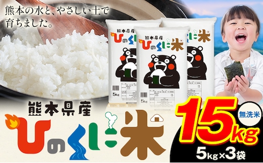 無洗米 ひのくに米 15kg 《7-14日以内に出荷予定》 食品 米 こめ コメ 熊本県産 ふるさと納税 お米 おこめ 熊本---ubuyama_lcl_604_15kg---