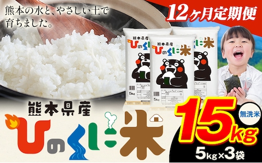 【12ヶ月定期便】 無洗米 ひのくに米 15kg 《お申込み翌月から出荷》 食品 米 こめ コメ 熊本県産 ふるさと納税 お米 おこめ 熊本---ubuyama_lcl_652_mo12---