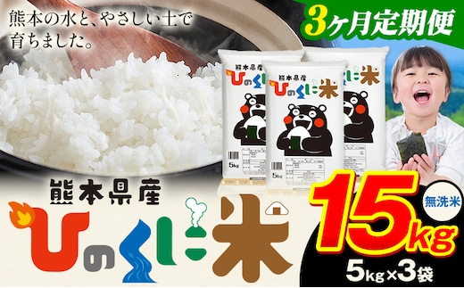 【3ヶ月定期便】 無洗米 ひのくに米 15kg 《お申込み翌月から出荷》 食品 米 こめ コメ 熊本県産 ふるさと納税 お米 おこめ 熊本---ubuyama_lcl_628_mo3---