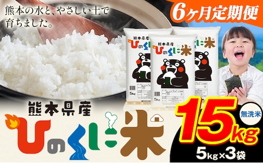 【6ヶ月定期便】 無洗米 ひのくに米 15kg 《お申込み翌月から出荷》 食品 米 こめ コメ 熊本県産 ふるさと納税 お米 おこめ 熊本---ubuyama_lcl_636_mo6---