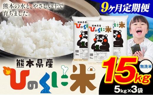 【9ヶ月定期便】 無洗米 ひのくに米 15kg 《申込月の翌月から出荷開始》 食品 米 こめ コメ 熊本県産 ふるさと納税 お米 おこめ 熊本---ubuyama_lcl_644_mo9---