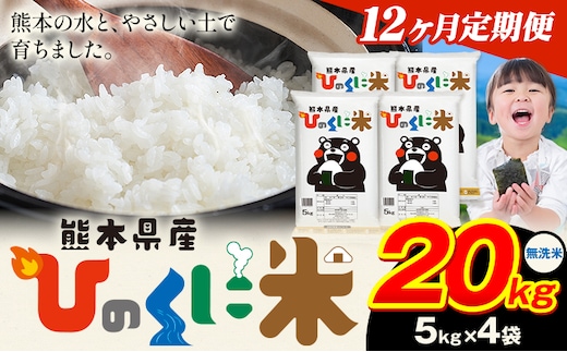 【12ヶ月定期便】 無洗米 ひのくに米 20kg 《お申込み翌月から出荷》 食品 米 こめ コメ 熊本県産 ふるさと納税 お米 おこめ 熊本---ubuyama_lcl_653_mo12---
