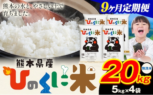 【9ヶ月定期便】 無洗米 ひのくに米 20kg 《申込月の翌月から出荷開始》 食品 米 こめ コメ 熊本県産 ふるさと納税 お米 おこめ 熊本---ubuyama_lcl_645_mo9---