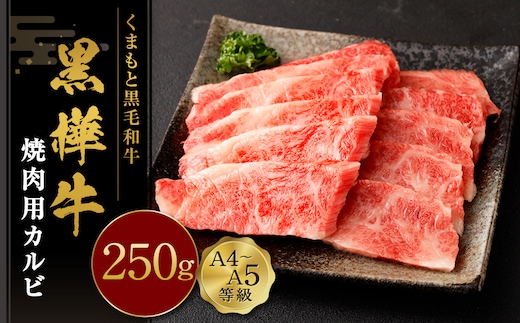 くまもと黒毛和牛 杉本本店 黒樺牛 A4~A5等級 焼肉用カルビ 250g