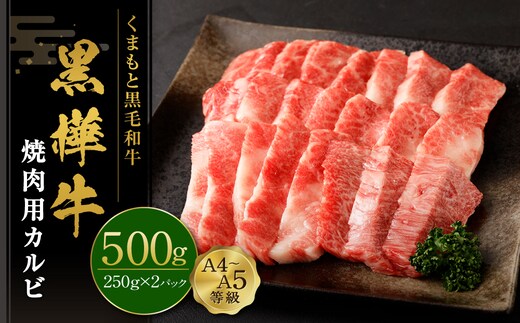 くまもと黒毛和牛 杉本本店 黒樺牛 A4~A5等級 焼肉用カルビ 500g