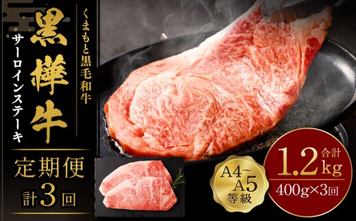 【3回定期便】くまもと黒毛和牛 杉本本店 黒樺牛 A4~A5等級 サーロインステーキ定期便 400g×3回