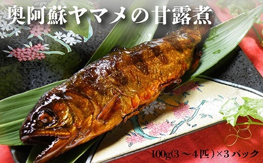 奥阿蘇 ヤマメ 甘露煮 100g×3パック 3~4匹 熊本県 高森町産