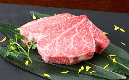 くまもと黒毛和牛 ヒレステーキ 400g (200g×2枚) 国産 熊本 和牛 牛肉 牛 肉 ヒレ お肉 冷凍