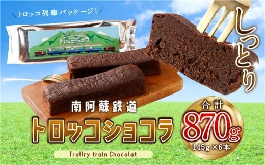 南阿蘇鉄道 トロッコショコラ 6本(約145g×6本)【2026年1月発送】菓子 お菓子 焼き菓子 チョコ風味 ショコラ ガトーショコラ 個包装 小分け