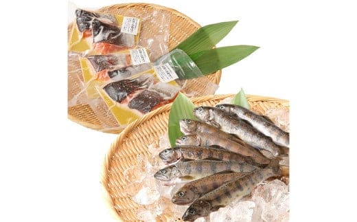 阿蘇から届く かわべの湧水やまめ 640g(内臓処理済8匹)と かわべのASOサーモン塩麹仕立て 480g(80g×6切)やまめ サーモン 熊本県 高森町