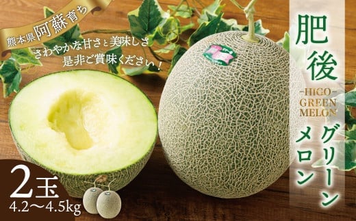 肥後グリーンメロン 2玉(4.2~4.5kg)【2026年7月上旬~8月上旬発送予定】メロン フルーツ 果物 くだもの 熊本県産 国産