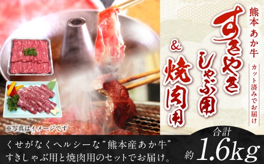 熊本 赤牛 カルビ 焼肉用 約800g ・ すきやき しゃぶしゃぶ用 約800g 計1.6kg
