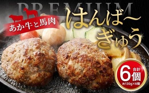 【菅乃屋×オオツカ コラボ】はんば~ぎゅう 計約780g(約130g×6個セット) ハンバーグ 馬肉 あか牛 赤身 ヘルシー 牛肉 お肉 個包装 冷凍 国産 熊本県 高森町