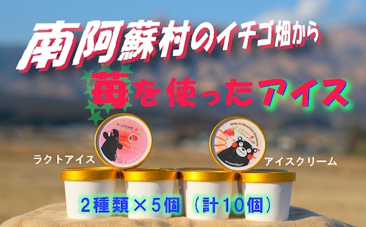 南阿蘇村のイチゴ畑から苺を使ったアイス2種×5（計10個）