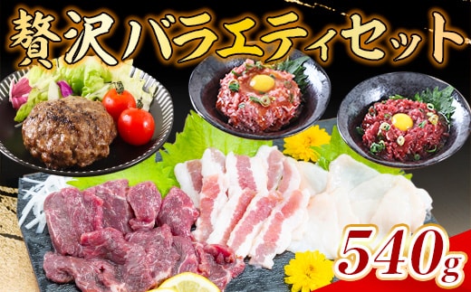 贅沢バラエティセット 540g 馬肉 AG14