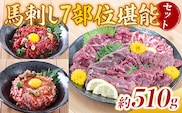 馬刺し7部位堪能セット 約510g タレ付き　AG10