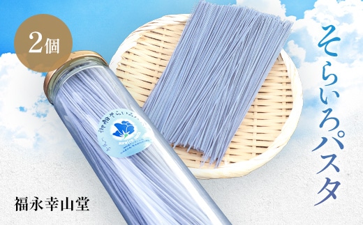御船町 福永幸山堂のそらいろパスタ 2個入り AK13