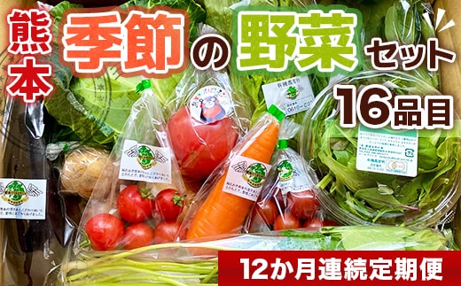 【12か月連続定期便】熊本季節の野菜セット 16品目 AB004