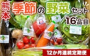 【12か月連続定期便】熊本季節の野菜セット　16品目　AB004