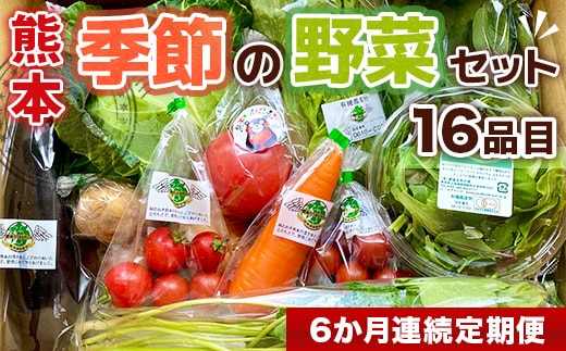 【6か月連続定期便】熊本季節の野菜セット 16品目 AB003